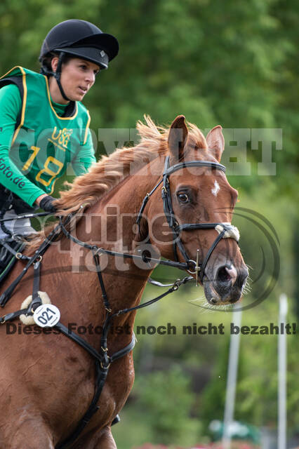 Landesturnier Rheinland, Vielseitigkeit, 22.+23.08.2020