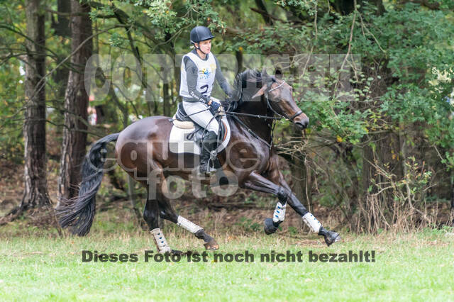 Vielseitigkeit RSV Wesel Obrighoven (26.+27.09.2020)