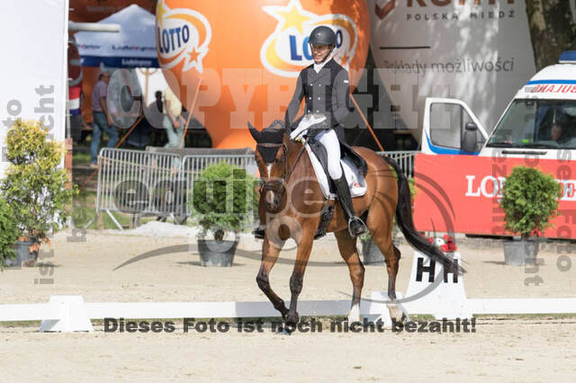 FEI European Championship Eventing 2017