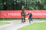 FEI European Championship Eventing 2017