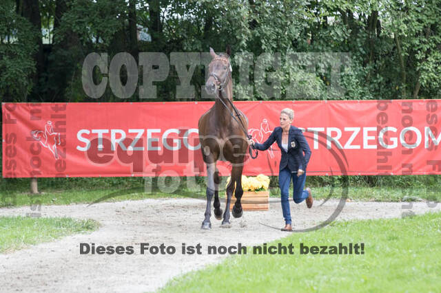 FEI European Championship Eventing 2017