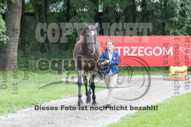 FEI European Championship