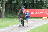 FEI European Championship