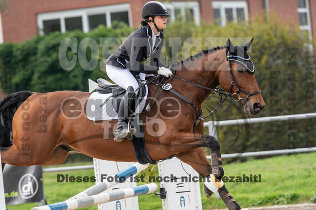 Goldene Schärpe 2020 - Pferde