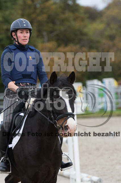 IGV Lehrgang der Sieger der Cups mit Frank Ostholt