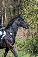 Geländetage beim RSV St. Hubertus Wesel Obrighoven (26.+27.03.2022)