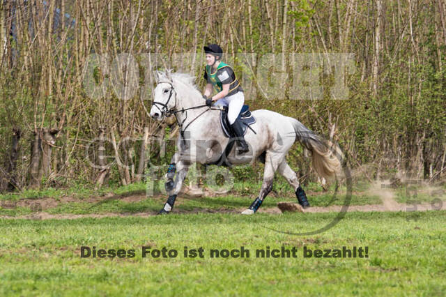 Vielseitigkeitsturnier RV Lippe-Bruch-Gahlen