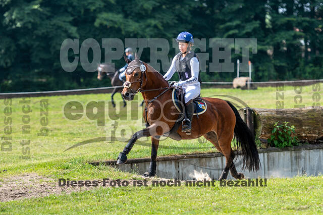 Goldene Schärpe 2021 - Ponys