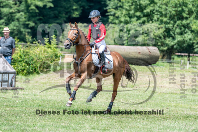 Goldene Schärpe 2021 - Ponys