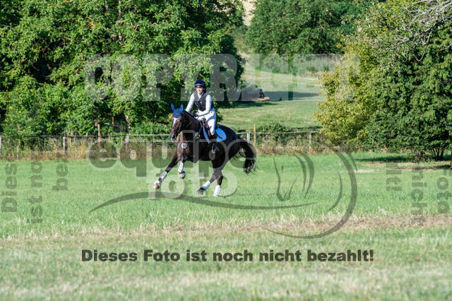 Bonn-Rodderberg Late-Entry-Vielseitigkeit (30.06.2020)
