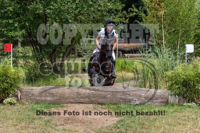 Late-Entry Vielseitigkeit Hamminkeln/Wesel (01.+02.08.2020)