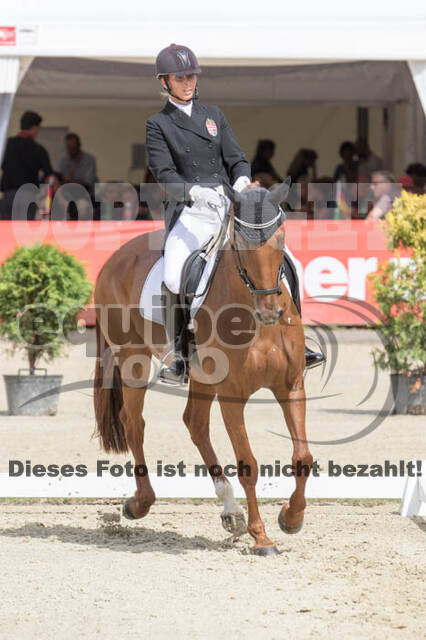 FEI European Championship Eventing 2017