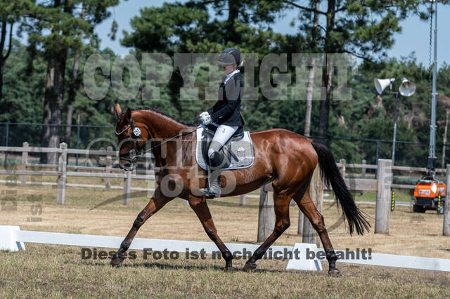 Kronenberg - De Peelbergen (August 2020)