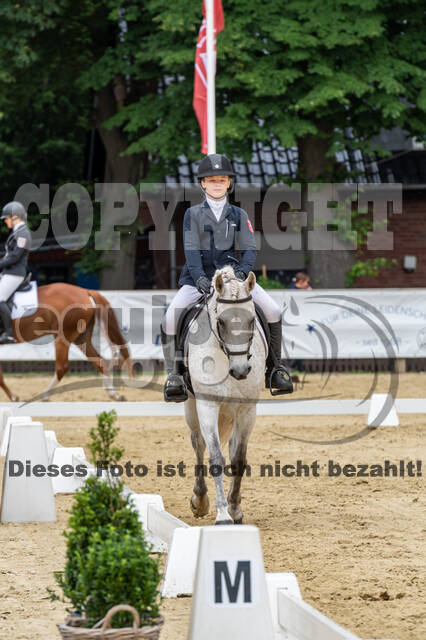 Goldene Schärpe 2021 - Ponys