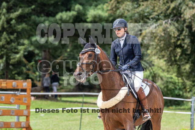 Late-Entry-Vielseitigkeit Langenfeld (06.+07.07.2020)