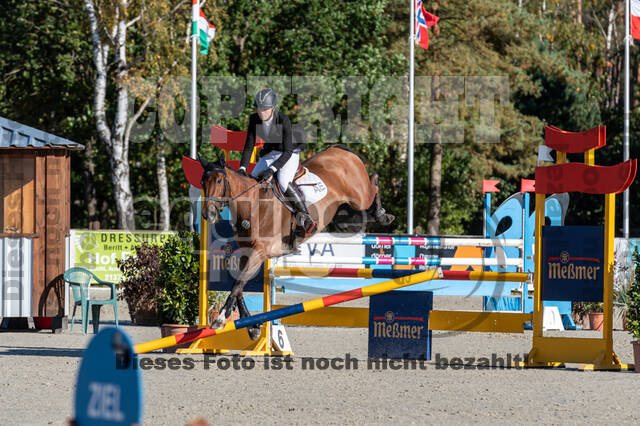 Deutsche Meisterschaft Vielseitigkeit (Luhmühlen)