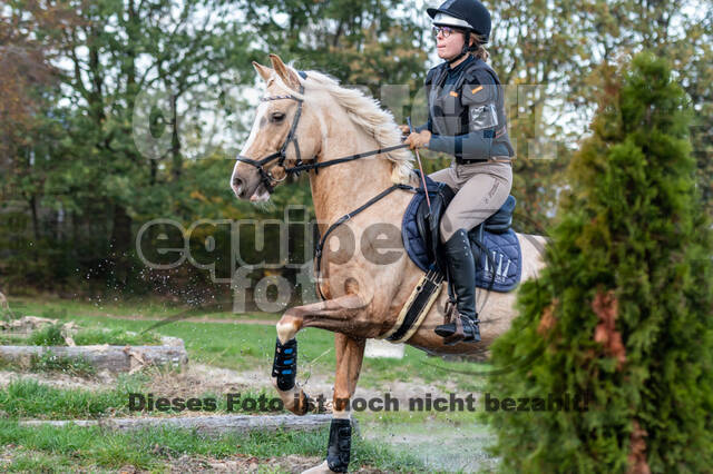 IGV Lehrgang der Sieger der Cups mit Frank Ostholt