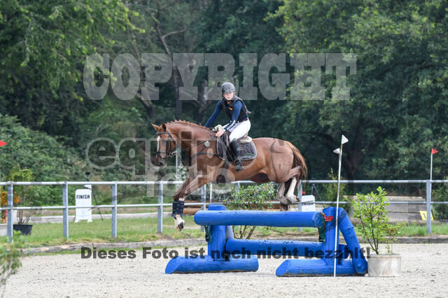 Late-Entry-Vielseitigkeit Langenfeld (11.+13./14.06.2020)