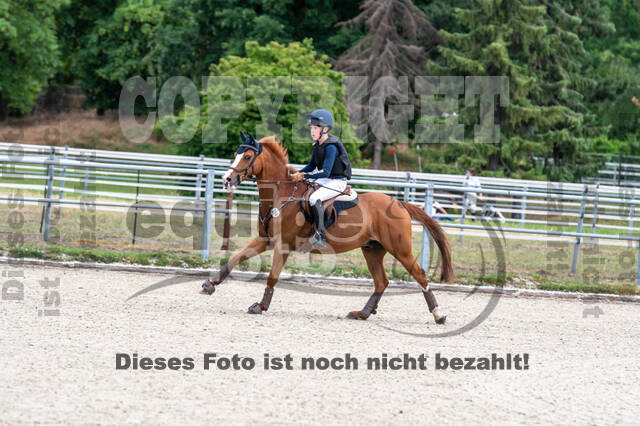 Late-Entry-Vielseitigkeit Langenfeld (11.+13./14.06.2020)