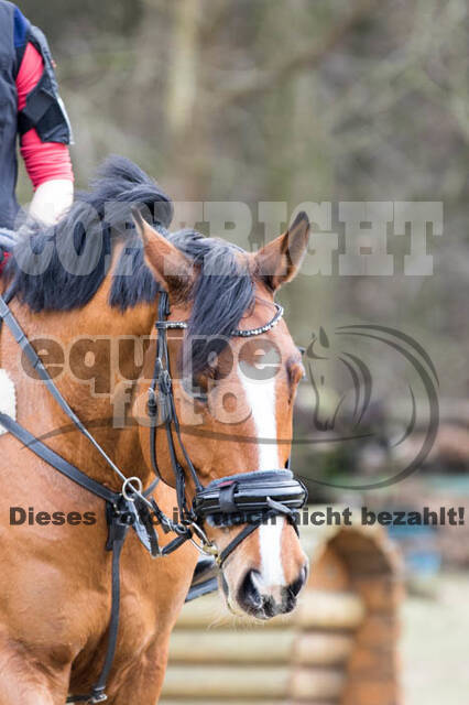 Geländetraining RSV St. Hubertus Wesel Obrighoven