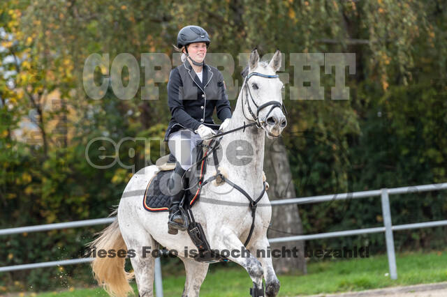 Goldene Schärpe 2020 - Pferde