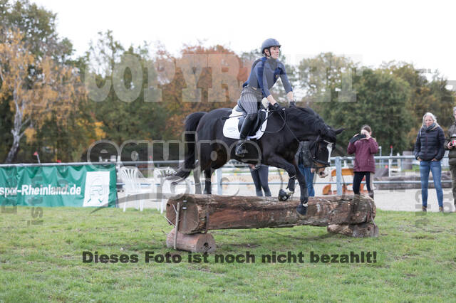 IGV Lehrgang der Sieger der Cups mit Frank Ostholt