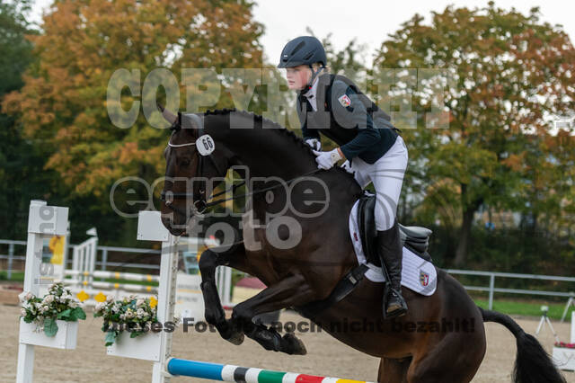 Reiter Schleswig-Holstein