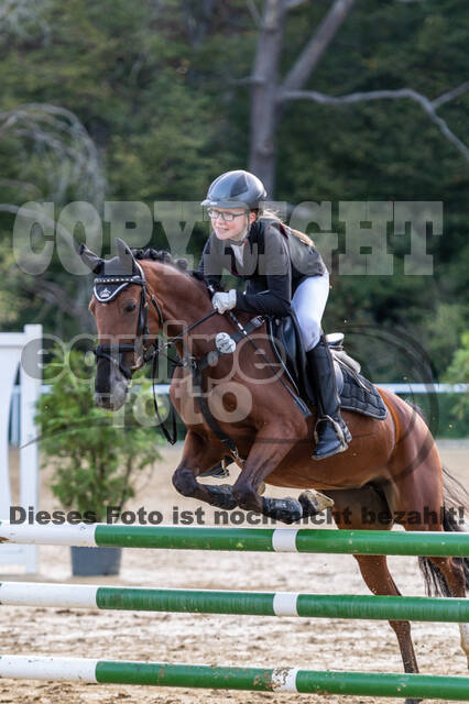 RFV Dinslaken-Hiesfeld (Herbstturnier)