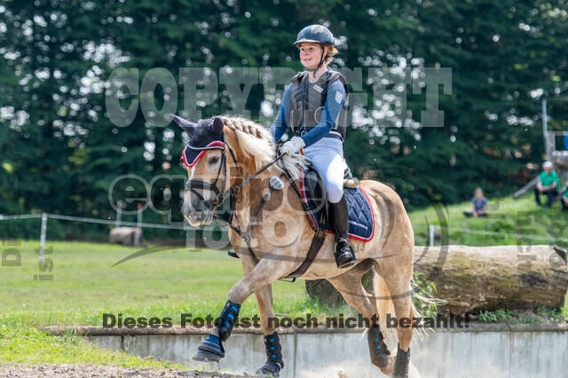 Goldene Schärpe 2021 - Ponys