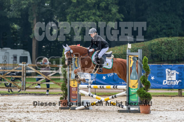 Goldene Schärpe 2021 - Ponys