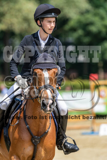 Goldene Schärpe 2021 - Ponys