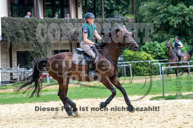 Hunter Geländetraining 10.07.2021 (Sonsbeck)