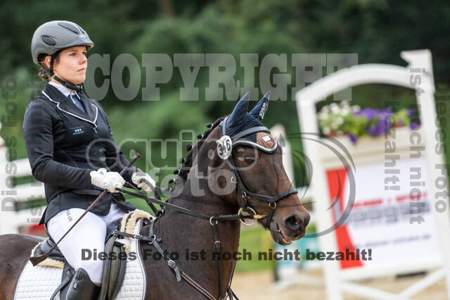 Vielseitigkeit RSV Wesel Obrighoven (26.+27.09.2020)