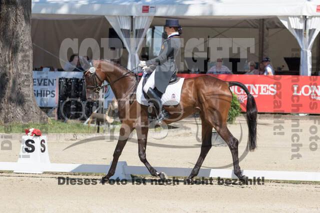 FEI European Championship Eventing 2017