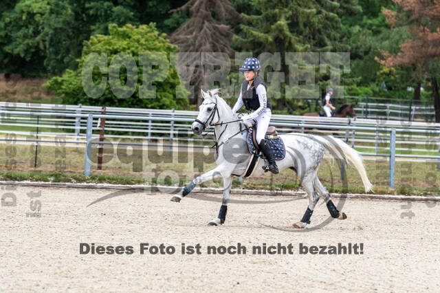 Late-Entry-Vielseitigkeit Langenfeld (11.+13./14.06.2020)