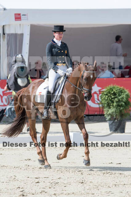 FEI European Championship Eventing 2017