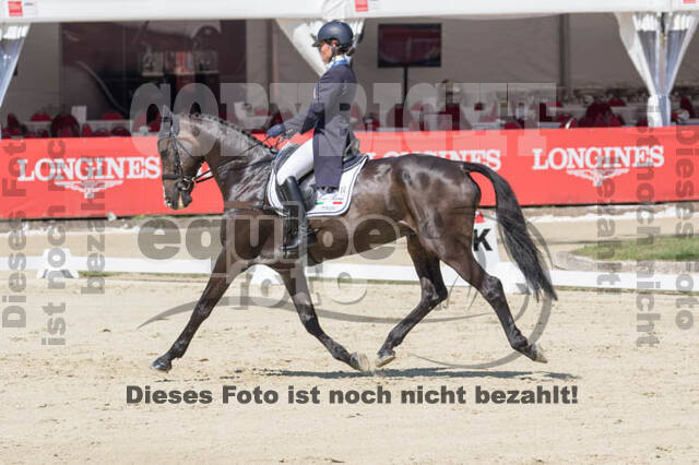 FEI European Championship
