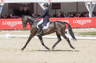FEI European Championship