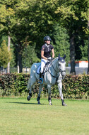 Kronenberg - De Peelbergen (August 2020)
