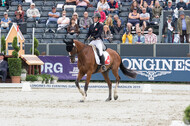 FEI European Championship Eventing 2019
