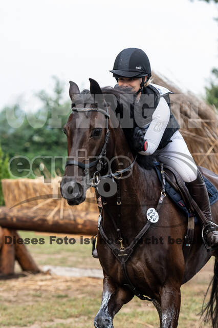 De Peelbergen (August 2020)