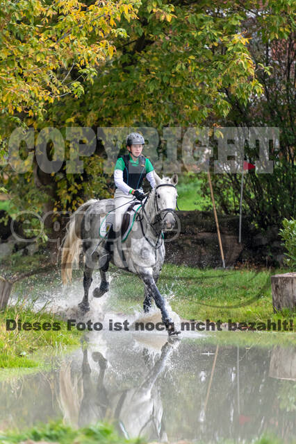 Goldene Schärpe 2020 - Pferde