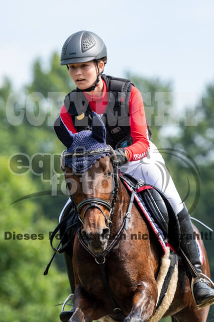 Goldene Schärpe 2021 - Ponys