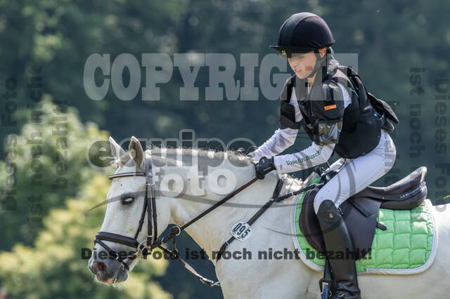 Goldene Schärpe 2021 - Ponys