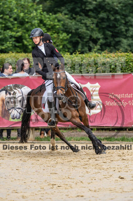 Goldene Schärpe 2021 - Ponys