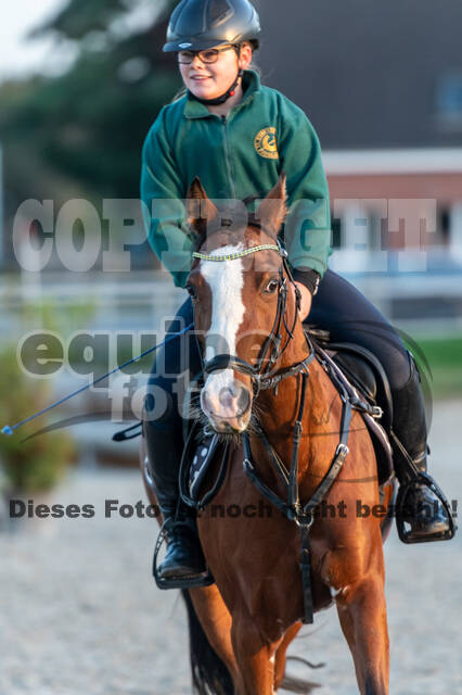IGV Lehrgang der Sieger der Cups mit Frank Ostholt