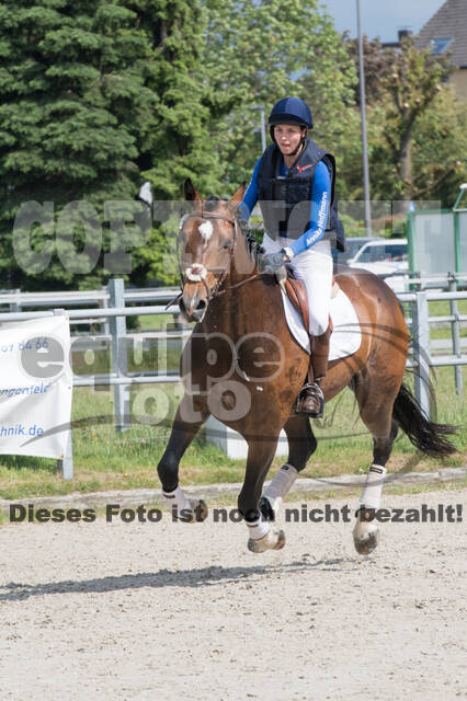 Eventing im Pferdesportzentrum Rheinland