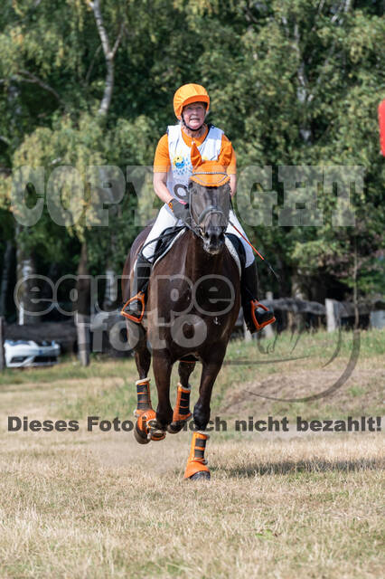 Late-Entry Vielseitigkeit Hamminkeln/Wesel (01.+02.08.2020)