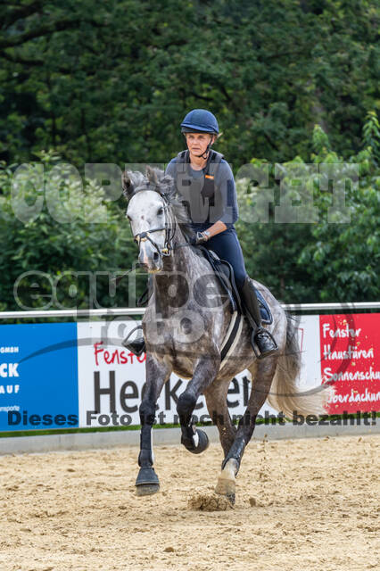 Hunter Geländetraining 10.07.2021 (Sonsbeck)
