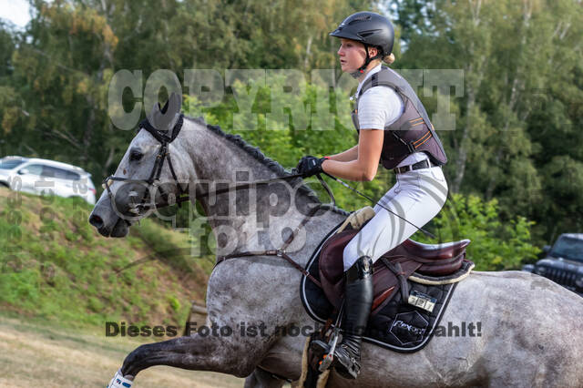 Late-Entry Vielseitigkeit Hamminkeln/Wesel (01.+02.08.2020)